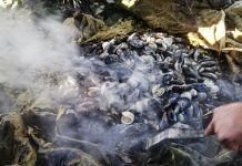 Gastronomía Chilota Curanto