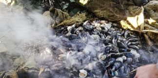 Gastronomía Chilota Curanto