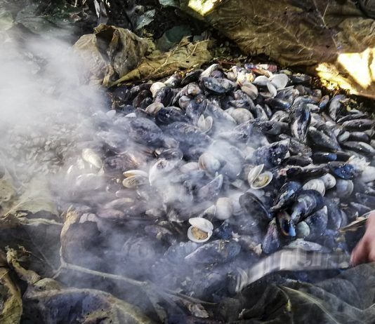 Gastronomía Chilota Curanto