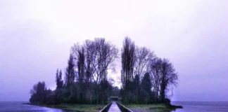 Quemchi, la comuna de los mil paisajes en Chiloé Quemchi, Isla Aucar