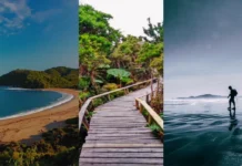 Por qué el Parque Nacional Chiloé es un imperdible? Parque Nacional Chiloé viajaachiloe